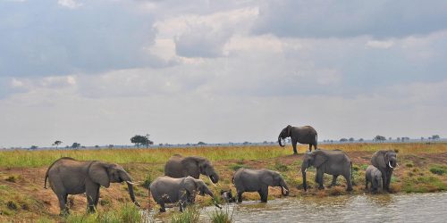 Tanzania Southern