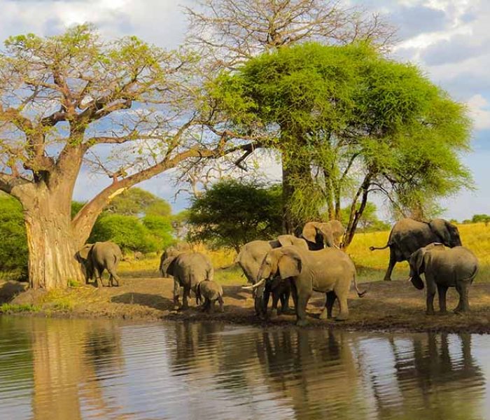 Tanzania Romantic & Honeymoon Safari